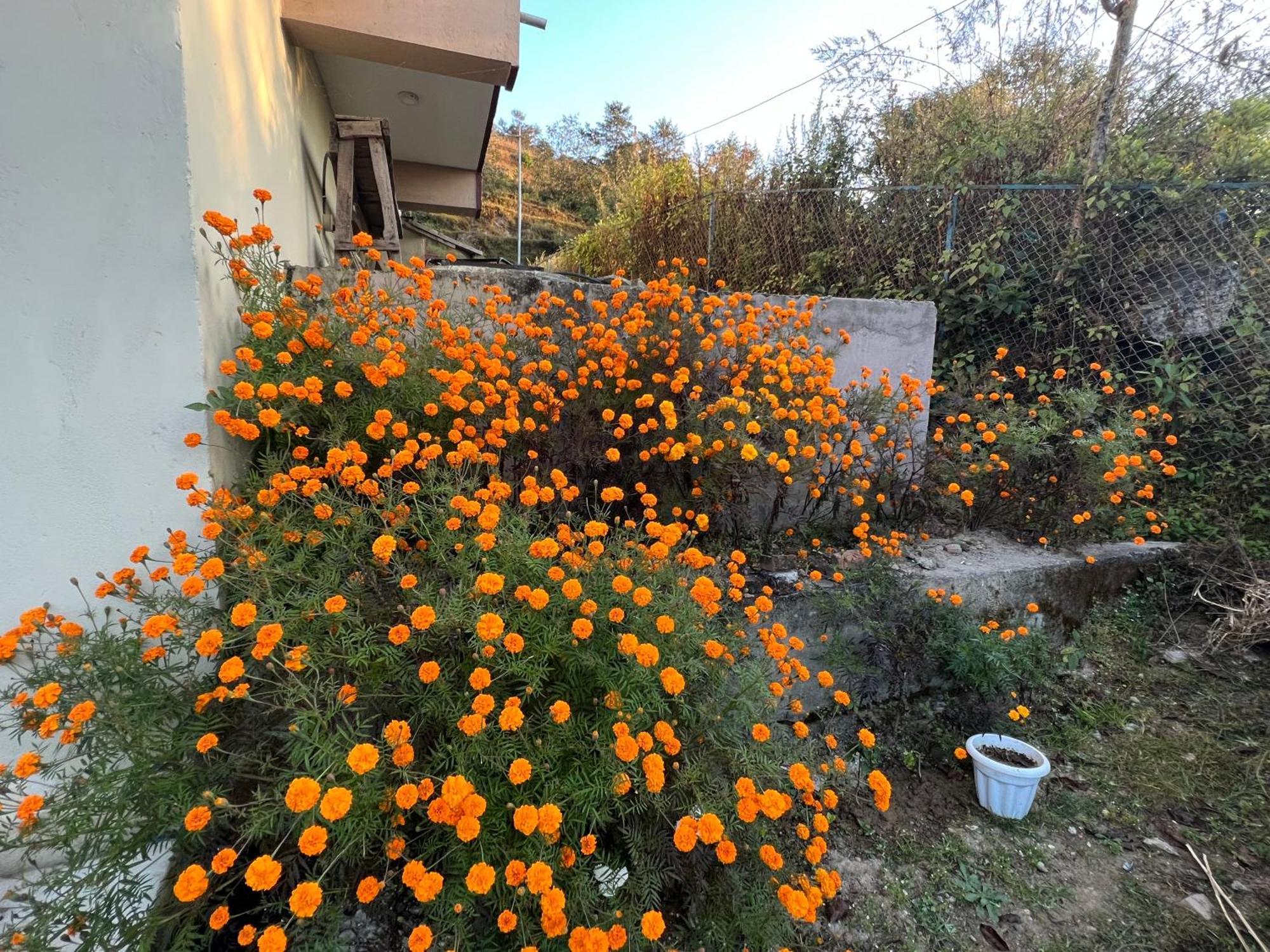 Hotel Village View Nagarkot Luaran gambar
